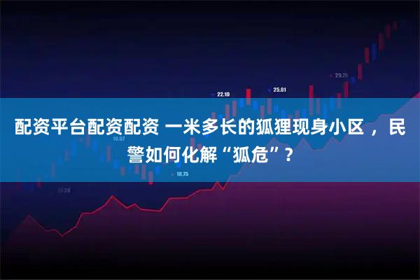 配资平台配资配资 一米多长的狐狸现身小区 ，民警如何化解“狐危”？